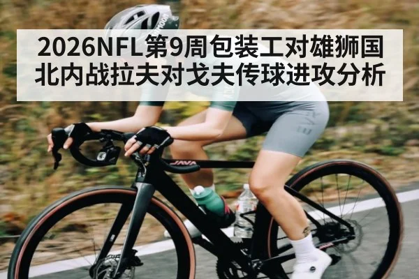 2026NFL第9周包装工对雄狮国北内战拉夫对戈夫传球进攻分析